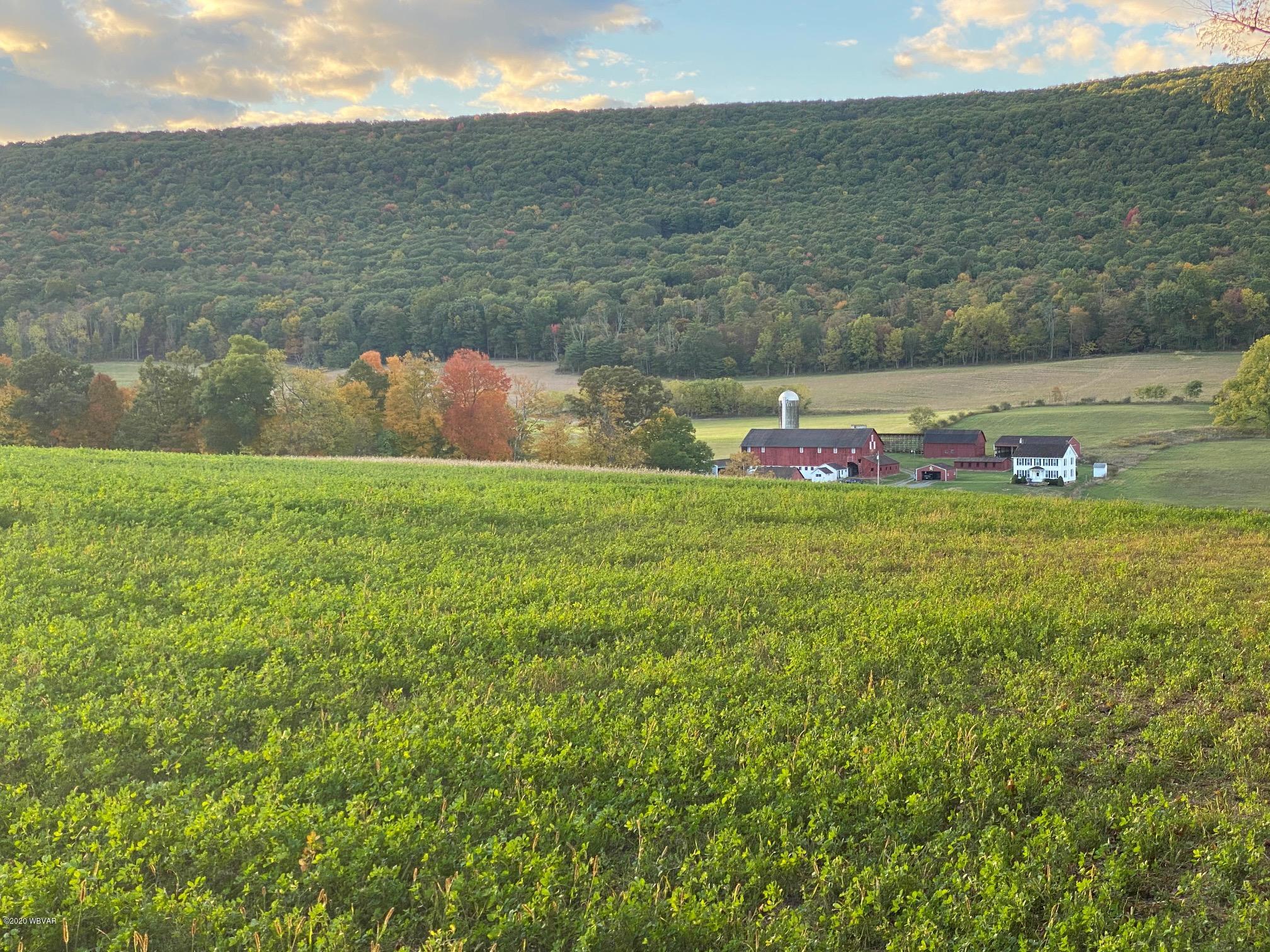Fox Hollow Road Mill Hall, PA 17751 - Photo 1 of 6 Gallery Image 1