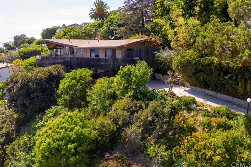 1844 Upper Rim Rock Road Laguna Beach, CA 92651 - Photo 5 of 38 a view of a garden with plants