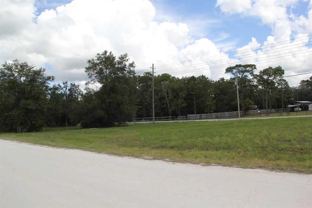 5140 Miami Street Brooksville, FL 34604 - Photo 4 of 6 a view of a golf course with a park