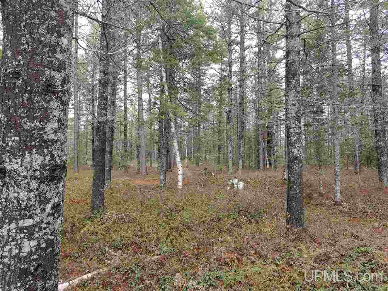 Lot 12 Rice Landing Rd Lake Lake Linden, MI 49945 - Photo 22 of 43