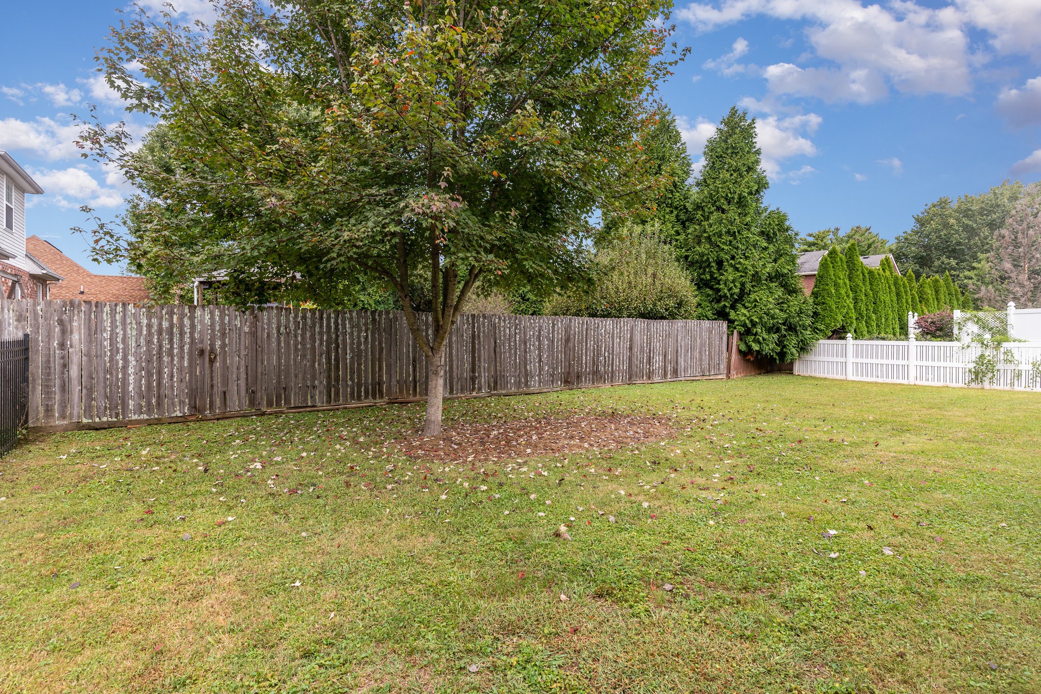 2822 Apache Moon Terrace Murfreesboro, TN 37127 - Photo 26 of 31 a view of a backyard with large trees and wooden fence