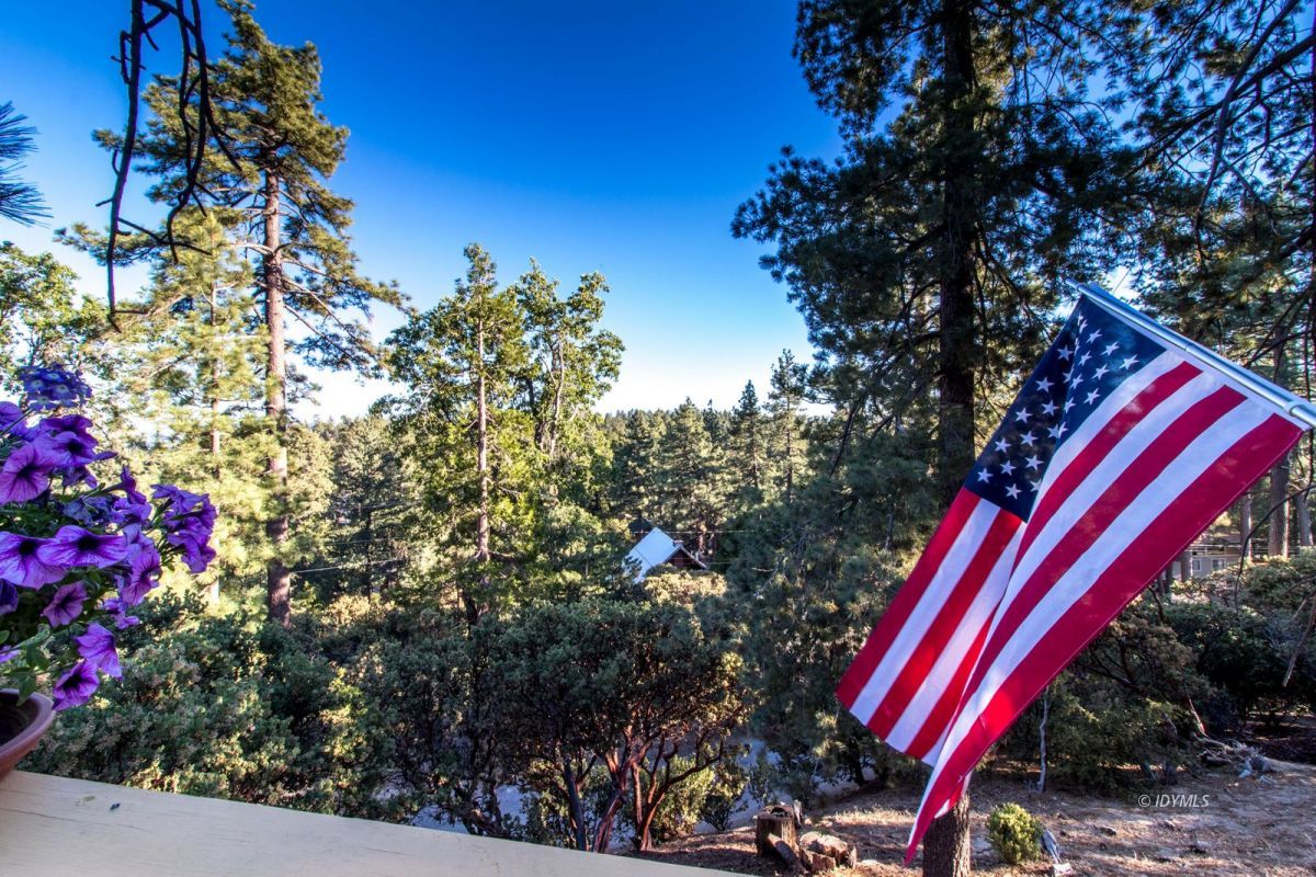 52830 Cedar Crest Drive Pine Cove, CA 92549 - Photo 6 of 31 a view of a outdoor space with a tree