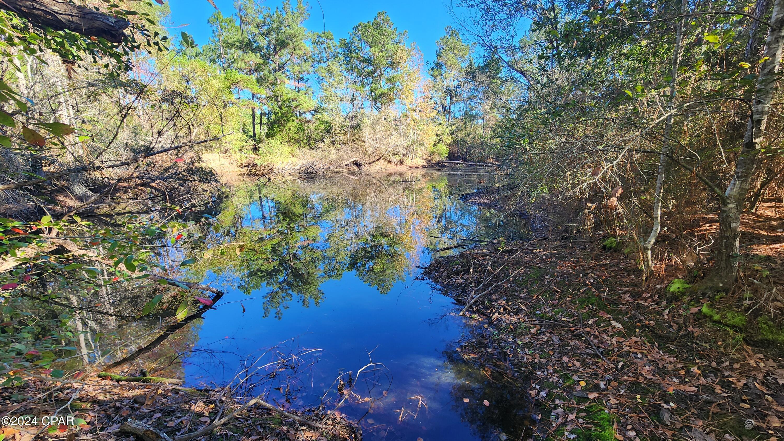 2597 Kynesville Road Cottondale, FL 32431 - Photo 26 of 27 Gallery Image 26