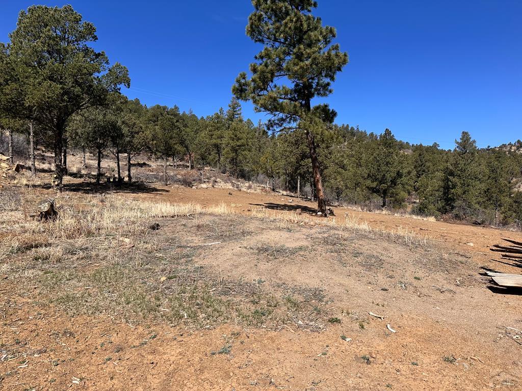 Tbd Big Pine Ridge Road Weston, CO 81091 - Photo 1 of 20 Gallery Image 1
