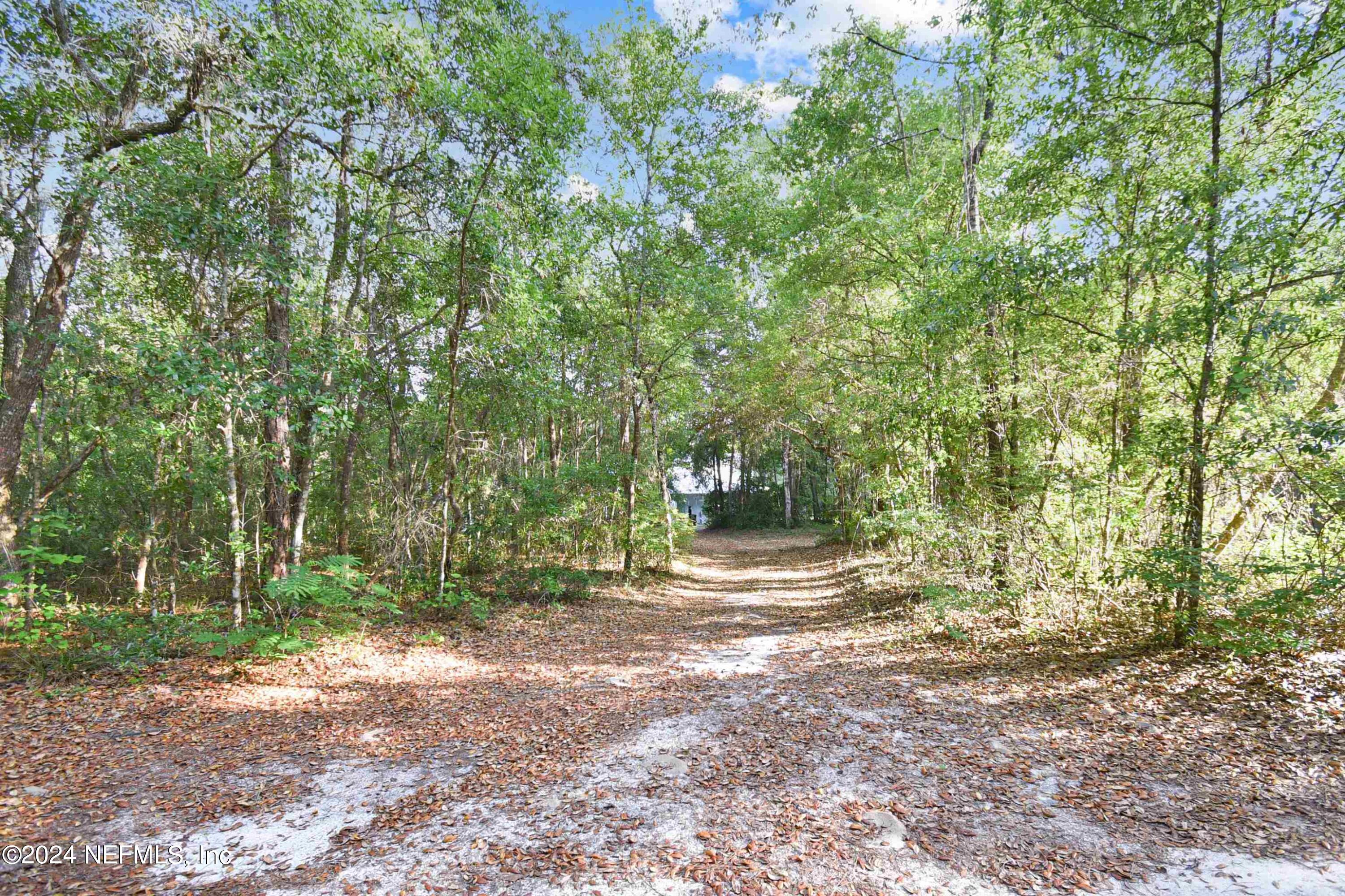 127 Kent Estate Road Elkton, FL 32033 - Photo 57 of 69 Land