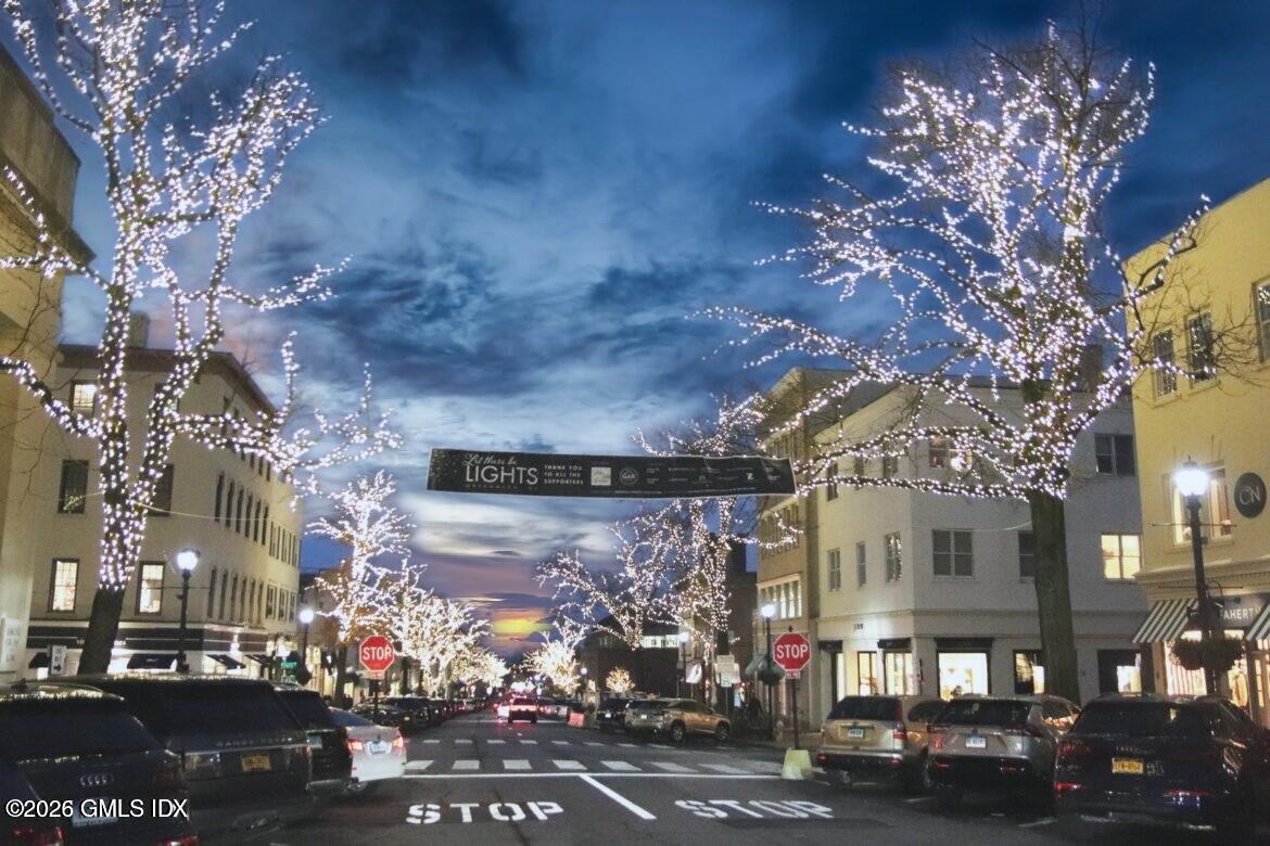 48 Meyer Place Riverside, CT 06878 - Photo 42 of 46 Seasonal Views