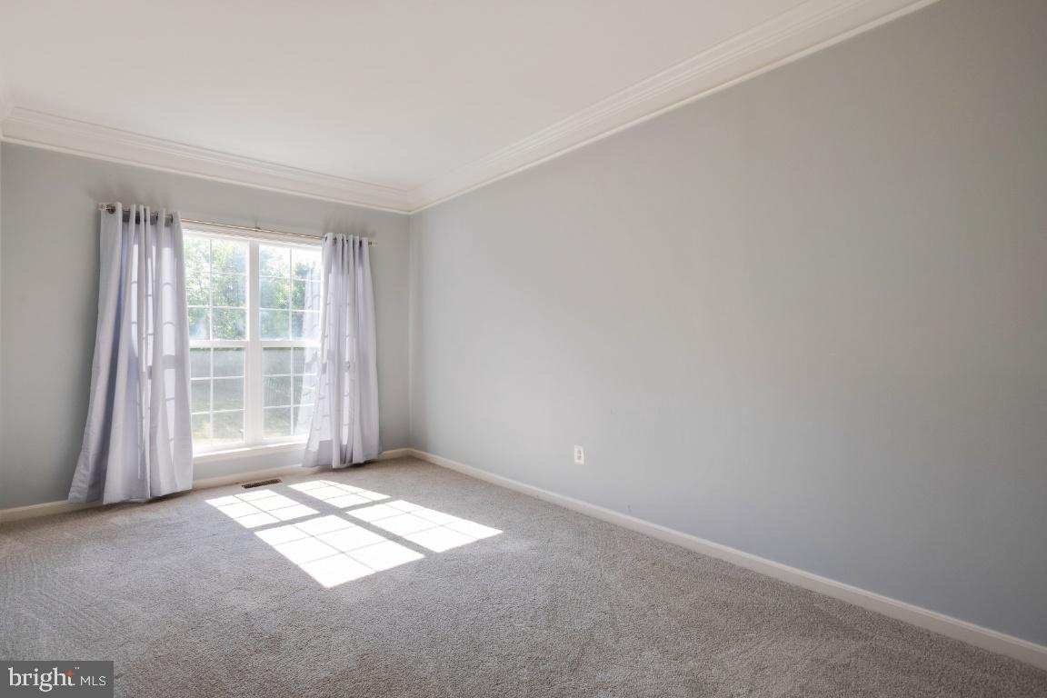 733 Blossom Tree Road Culpeper, VA 22701 - Photo 12 of 55 Gallery Image 12