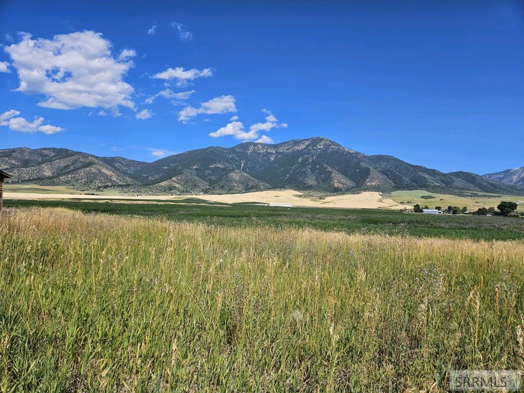2007 Chapel Road Swan Valley, ID 83449 - Photo 1 of 5 Main View