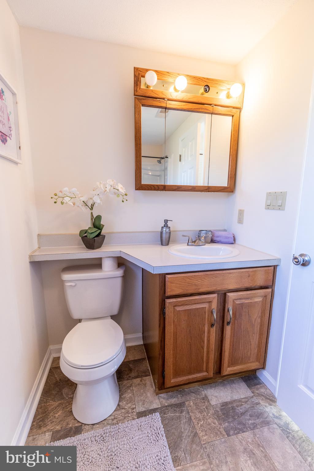 544 Pyletown Road Boyce, VA 22620 - Photo 40 of 70 Gallery Image 40