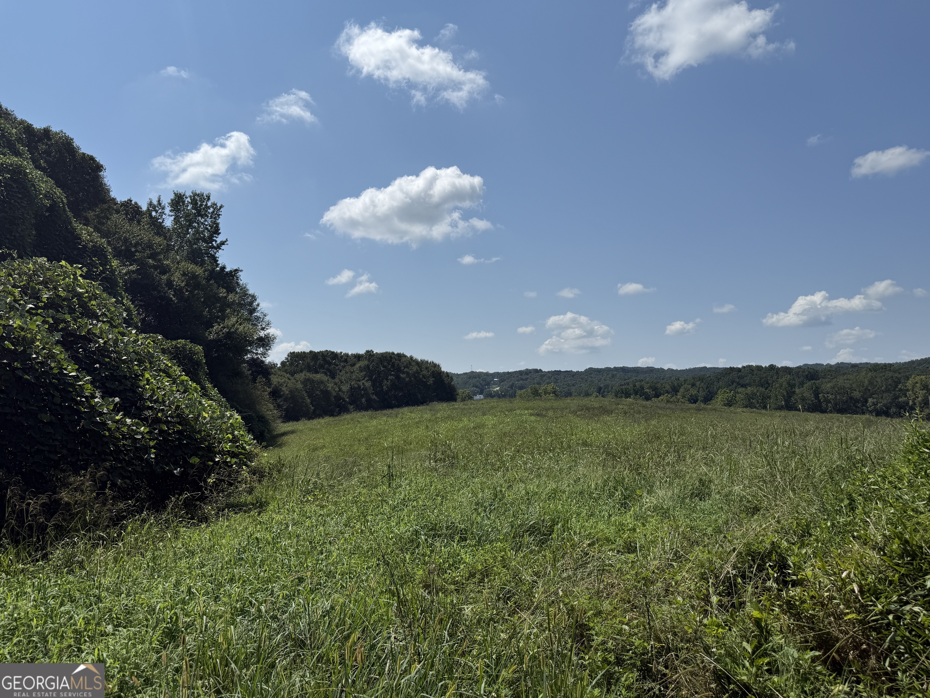 9.3-acres Roy Parks Road Talmo, GA 30575 - Photo 14 of 19