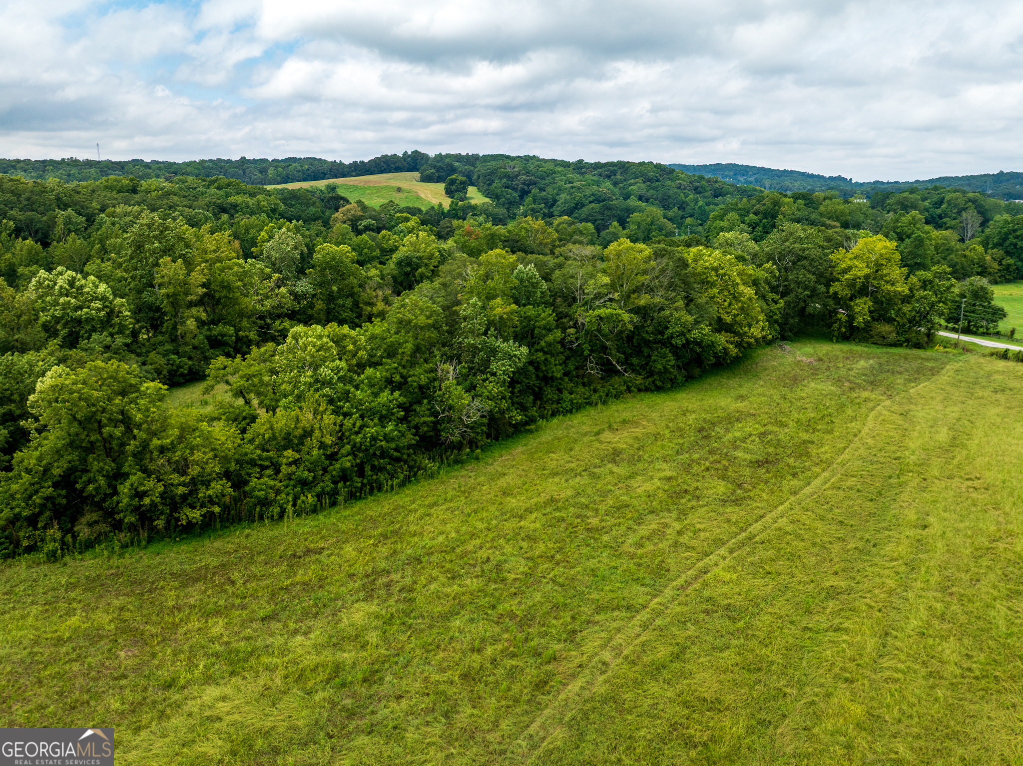 9.3-acres Roy Parks Road Talmo, GA 30575 - Photo 17 of 19