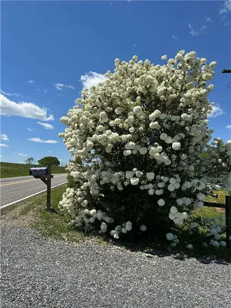 $259,000 | 1063 Pell Road, Westfield, NC 27053