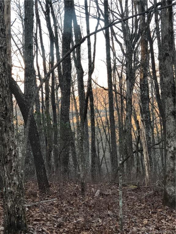 L011 Frazier Road, Unit C11 Travelers Rest, SC 29690 - Photo 2 of 13 Gallery Image 2