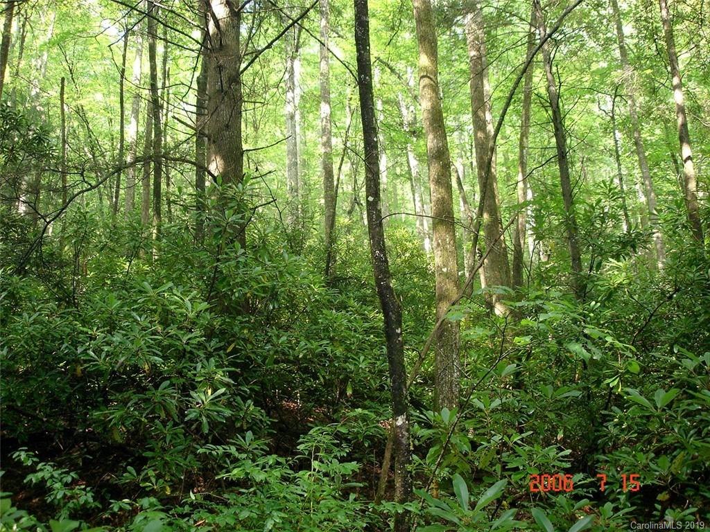 L011 Frazier Road, Unit C11 Travelers Rest, SC 29690 - Photo 5 of 13 Gallery Image 5
