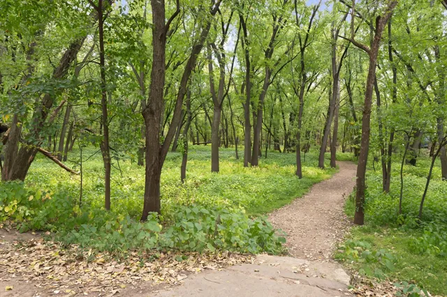 $650,000 | 1166 Kingsley Court South, Mendota Heights, MN 55118