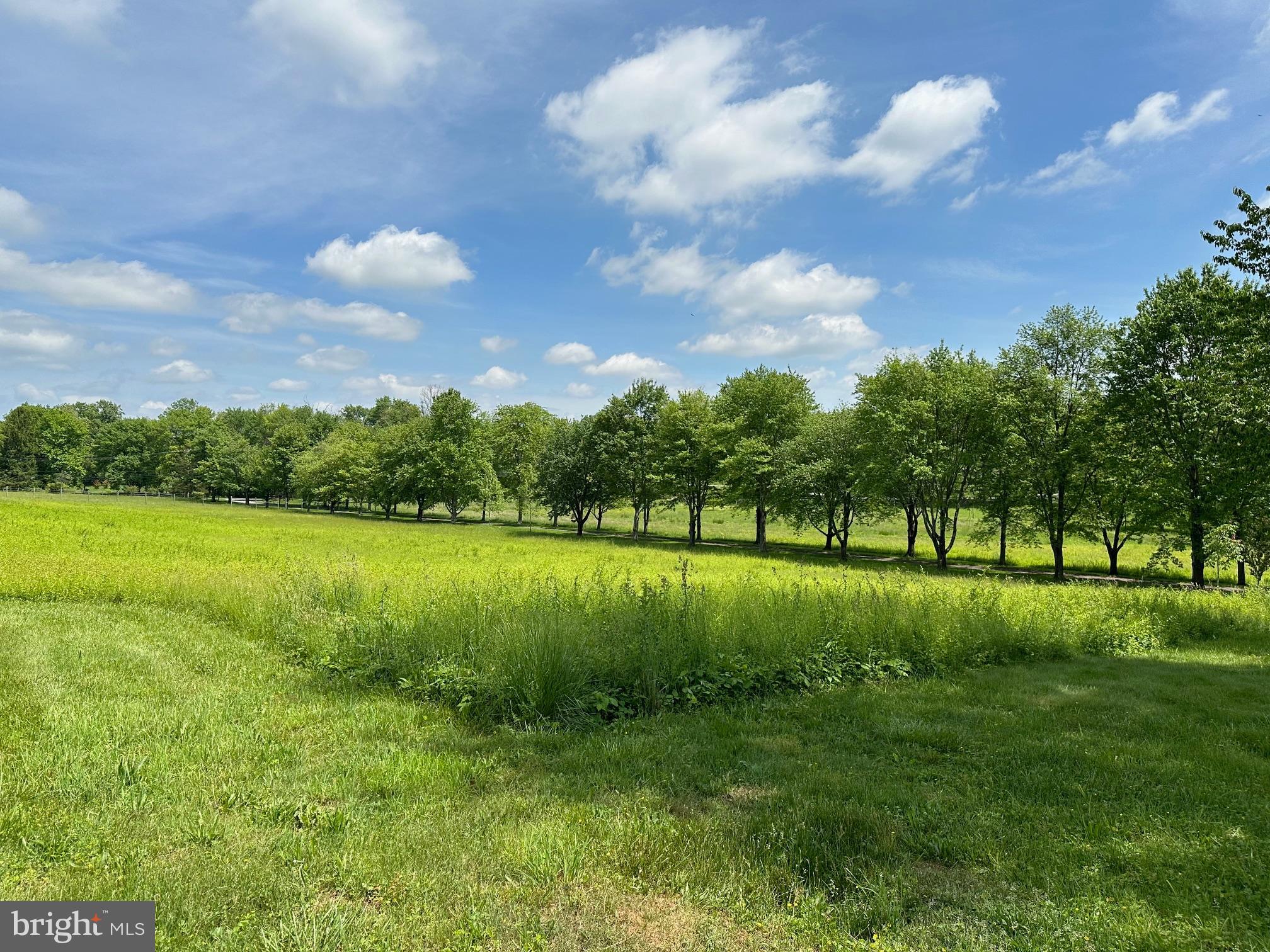 418-420 Dutton Mill Road Malvern, PA 19355 - Photo 75 of 79 Scenic vista