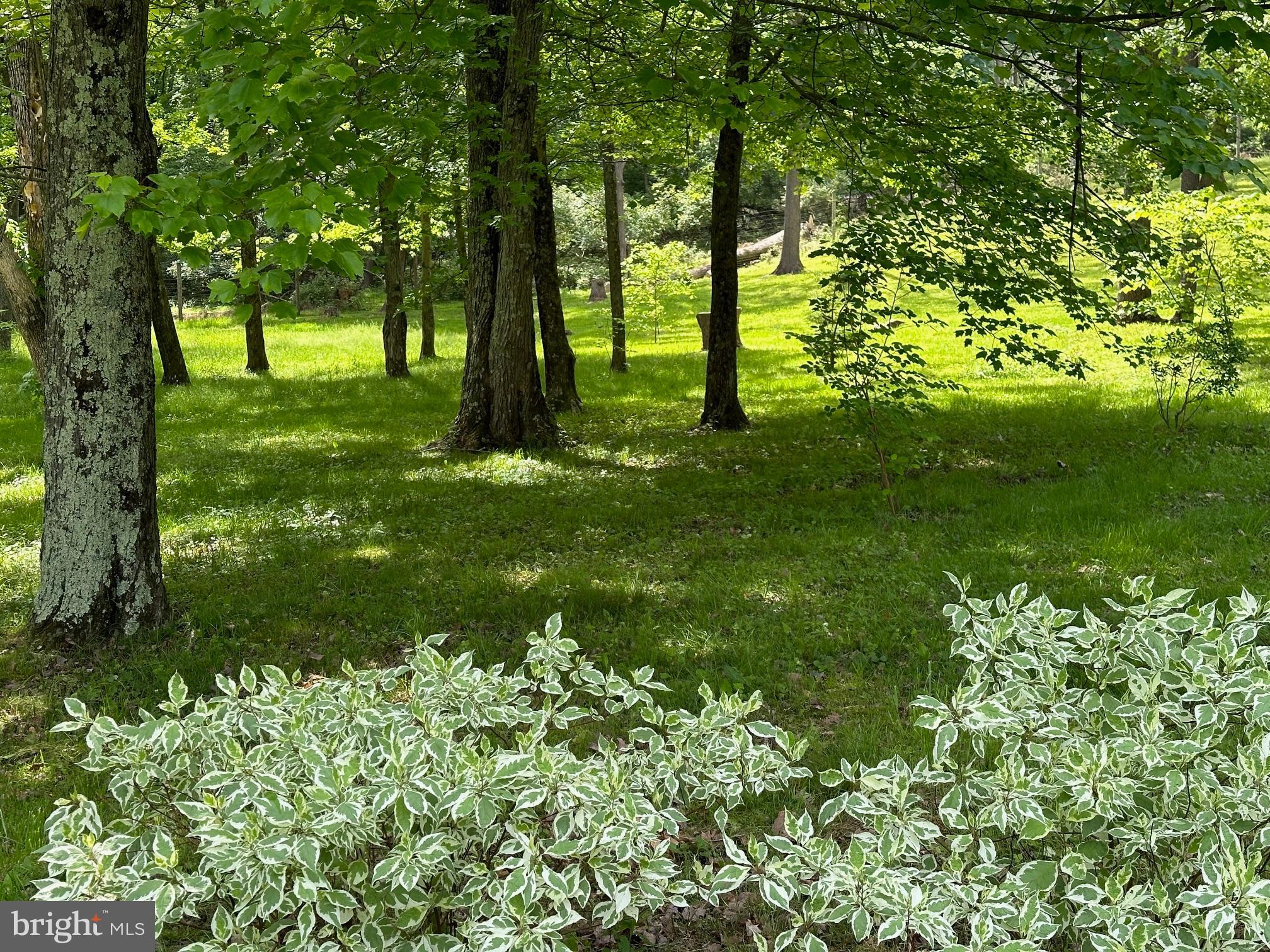 418-420 Dutton Mill Road Malvern, PA 19355 - Photo 76 of 79 Tons of privacy