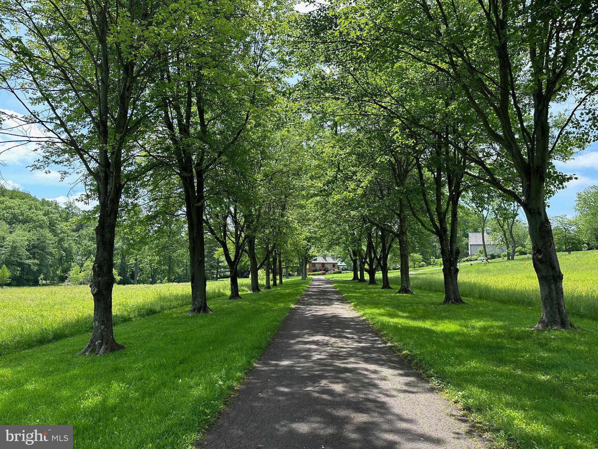 418-420 Dutton Mill Road Malvern, PA 19355 - Photo 8 of 79 Tree lined driveway