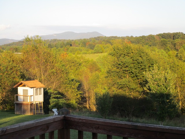 275 Morton Road Crimora, VA 24431 - Photo 17 of 23 Gallery Image 17