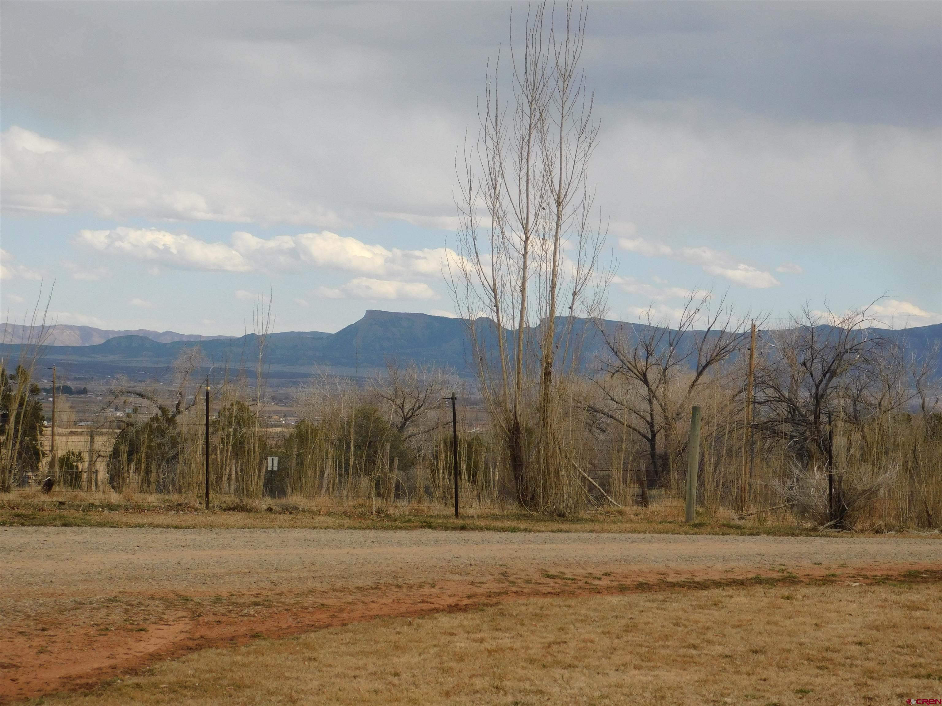 19825 Rd P Cortez, CO 81321 - Photo 24 of 38 a view of a yard with an ocean view