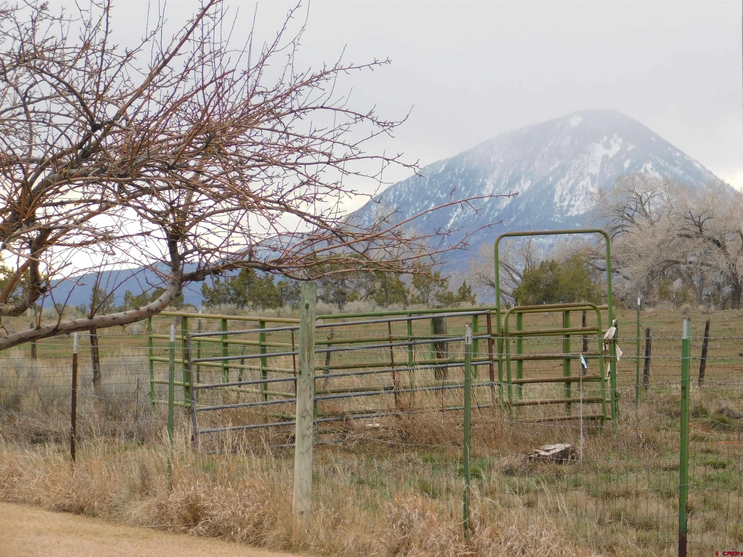 19825 Rd P Cortez, CO 81321 - Photo 26 of 38 a view of outdoor space and street