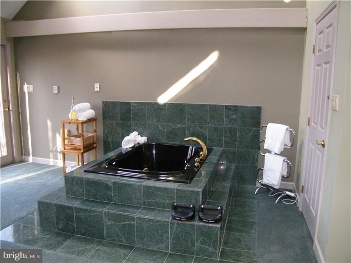 285 New Darlington Road Media, PA 19063 - Photo 18 of 25 Master Bathroom