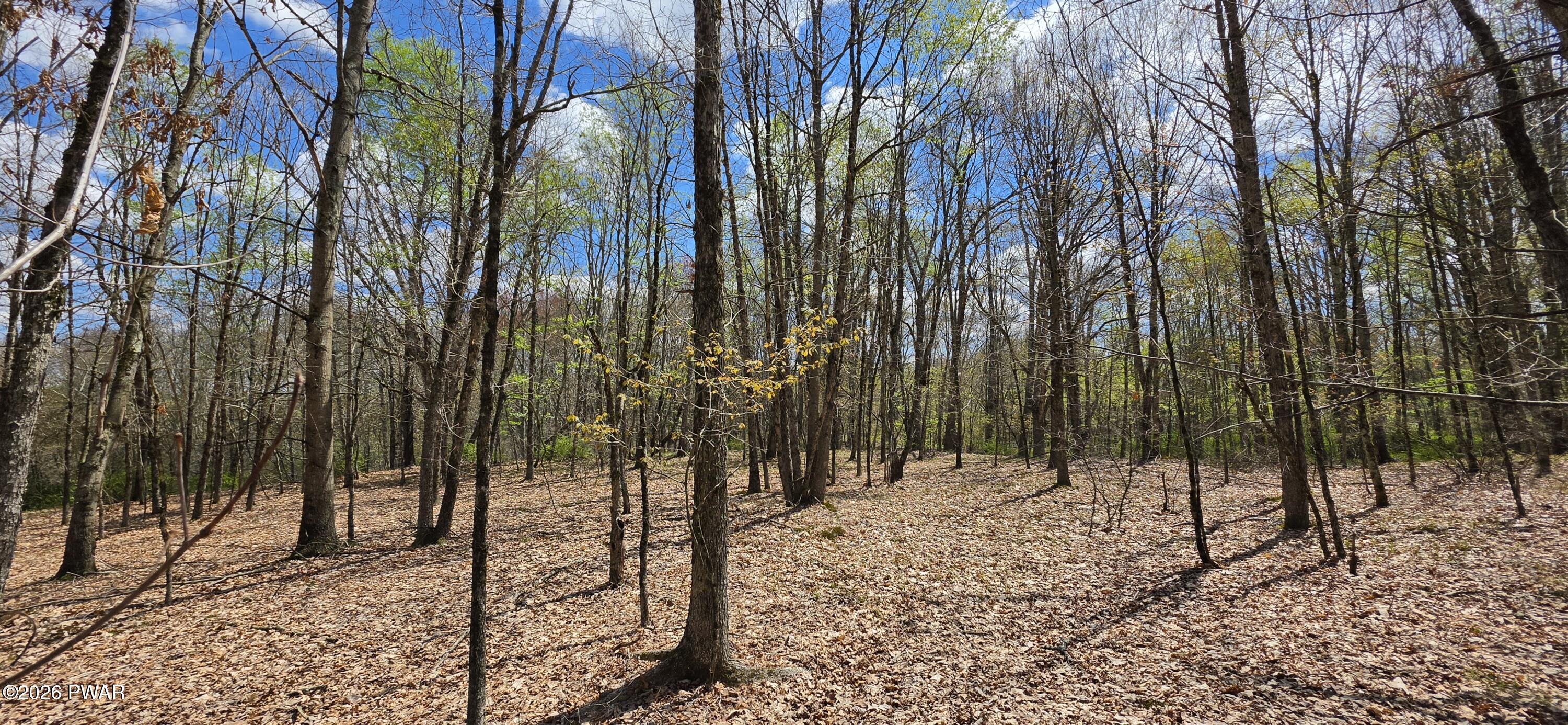 Lot 17.14 Skipperene Road Narrowsburg, NY 12764 - Photo 3 of 15