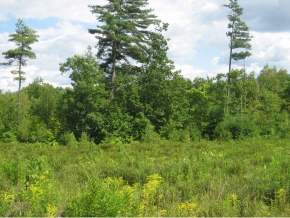 418 Old Dover Road Rochester, NH 03867 - Photo 4 of 4
