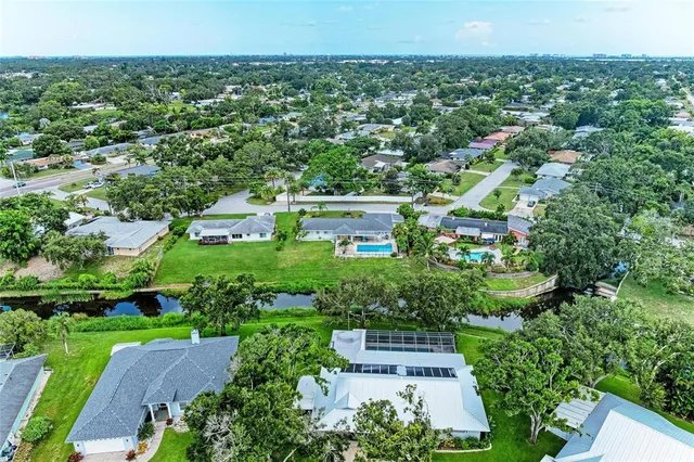 a row of palm trees and swimming pool in the backyard of a house