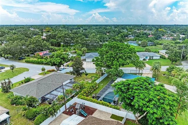 a view of a garden with plants
