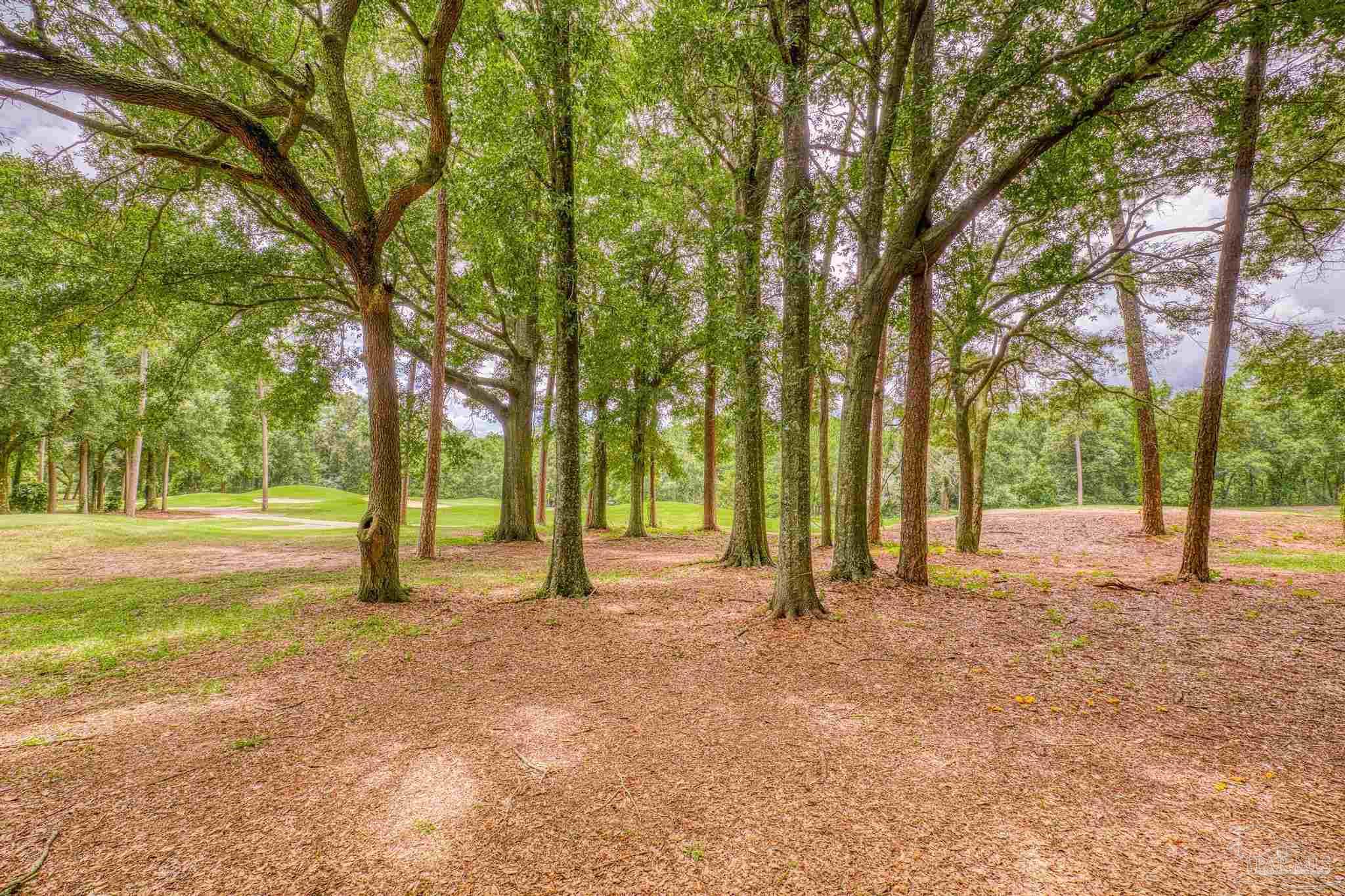 2054 Downing Drive Pensacola, FL 32505 - Photo 13 of 49