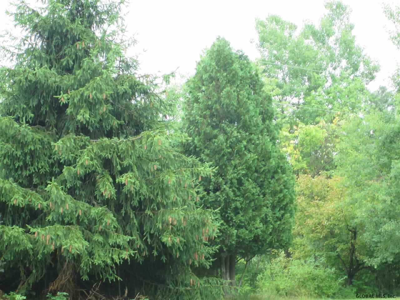 185 Kunz Road Broadalbin, NY 12025 - Photo 23 of 32 Photo 23
