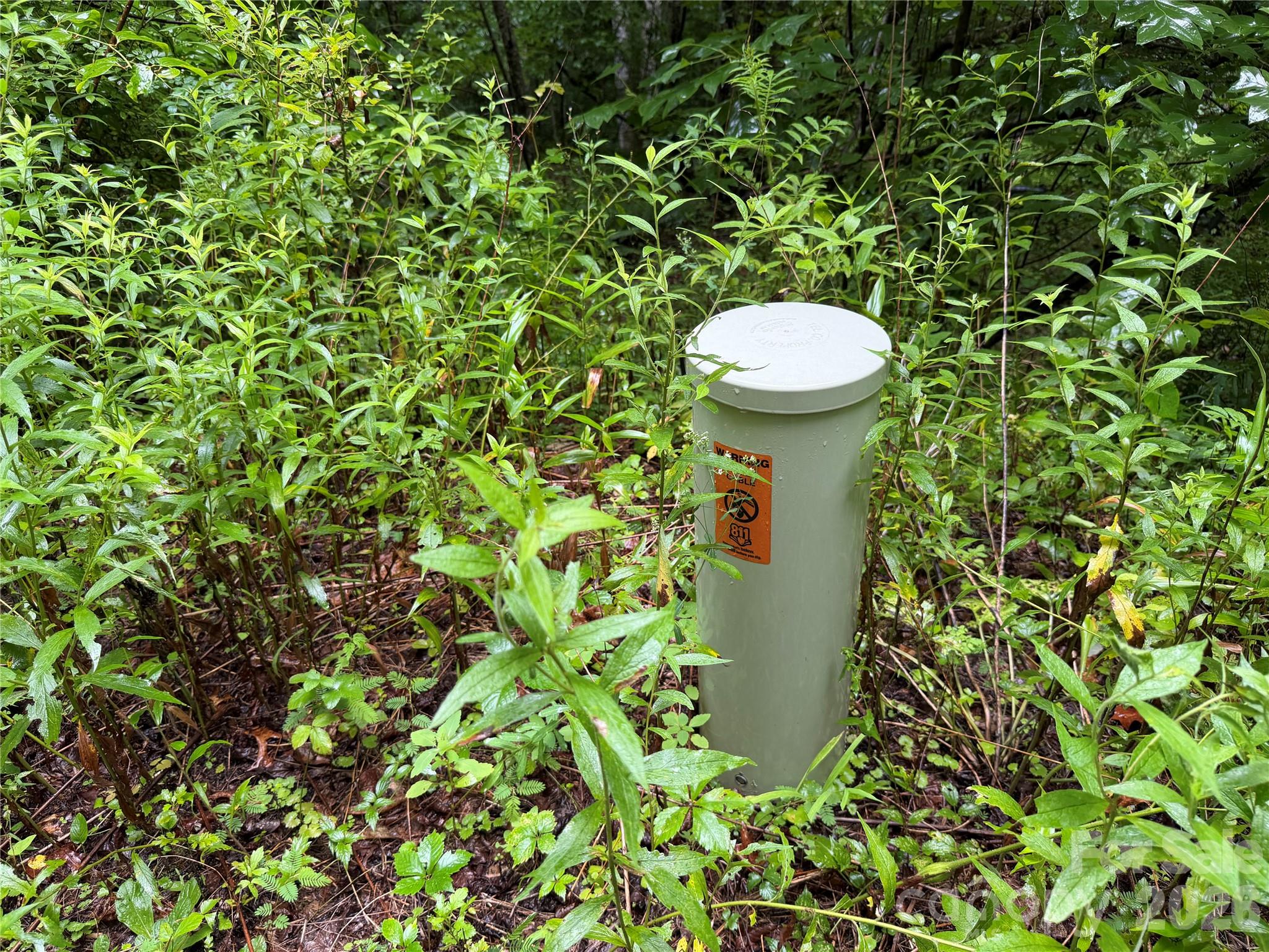 Off Donald McCall Road Balsam Grove, NC 28708 - Photo 10 of 47 Gallery Image 10