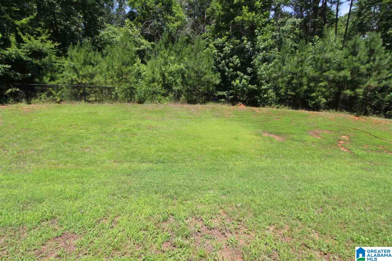 224 Forest Ridge Drive Jacksonville, AL 36265 - Photo 31 of 36