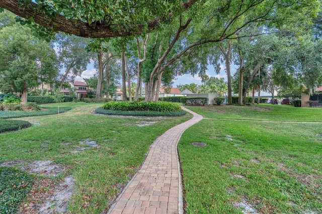 a view of a park with large trees
