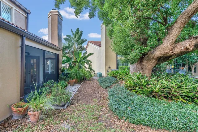 a view of a backyard with plants