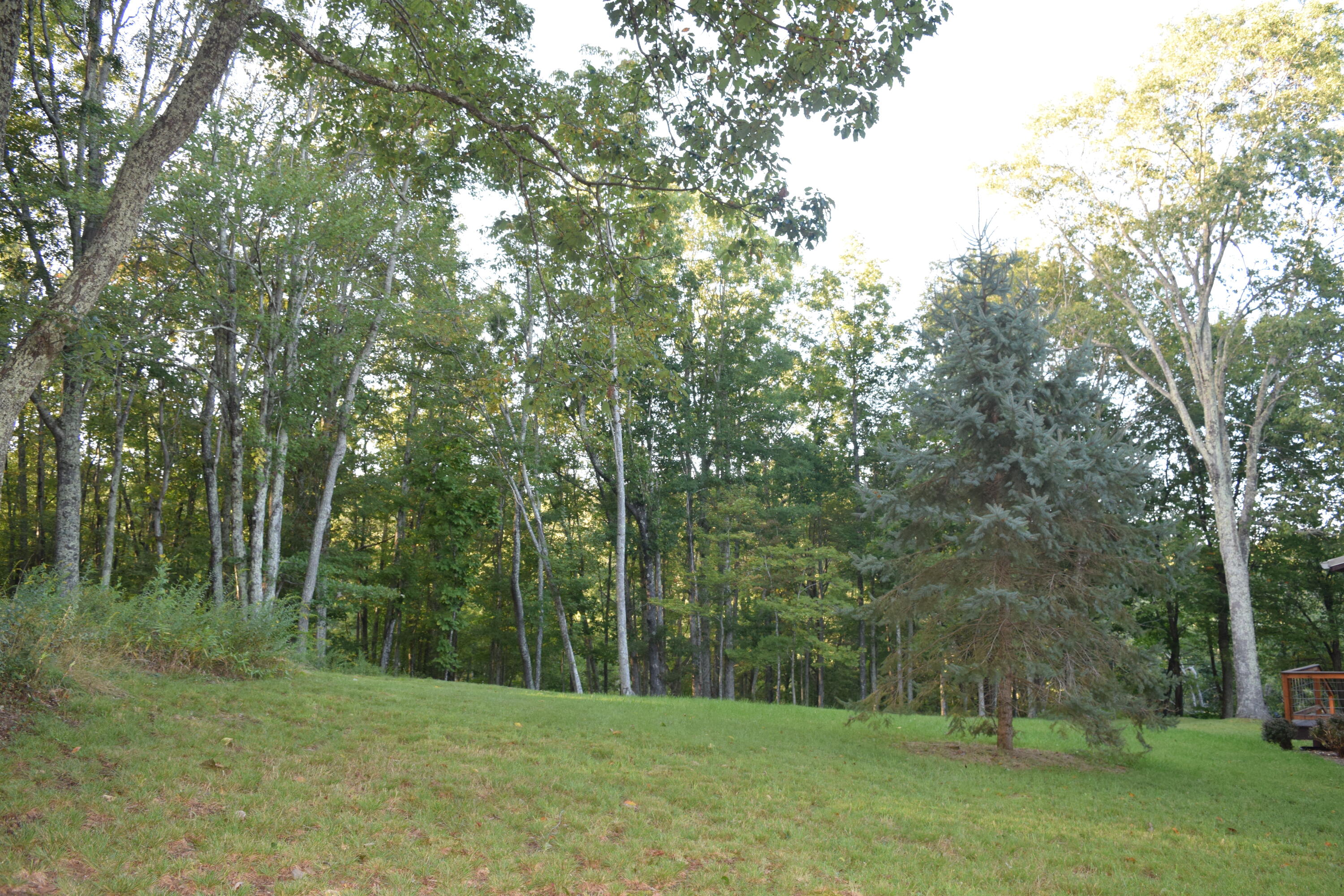51 Russlyn Ridge Ln Union Union, WV 24983 - Photo 36 of 175 Gallery Image 36