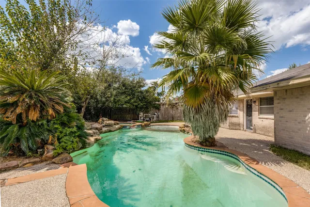 a view of a backyard with palm trees
