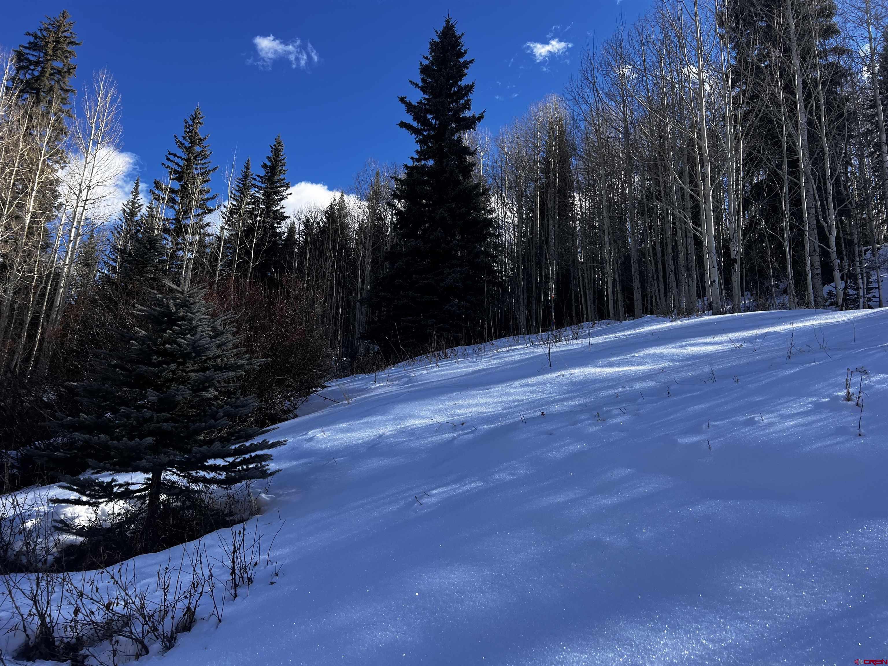 25 South Garfield Street Rico, CO 81332 - Photo 2 of 7 a view of outdoor space and yard