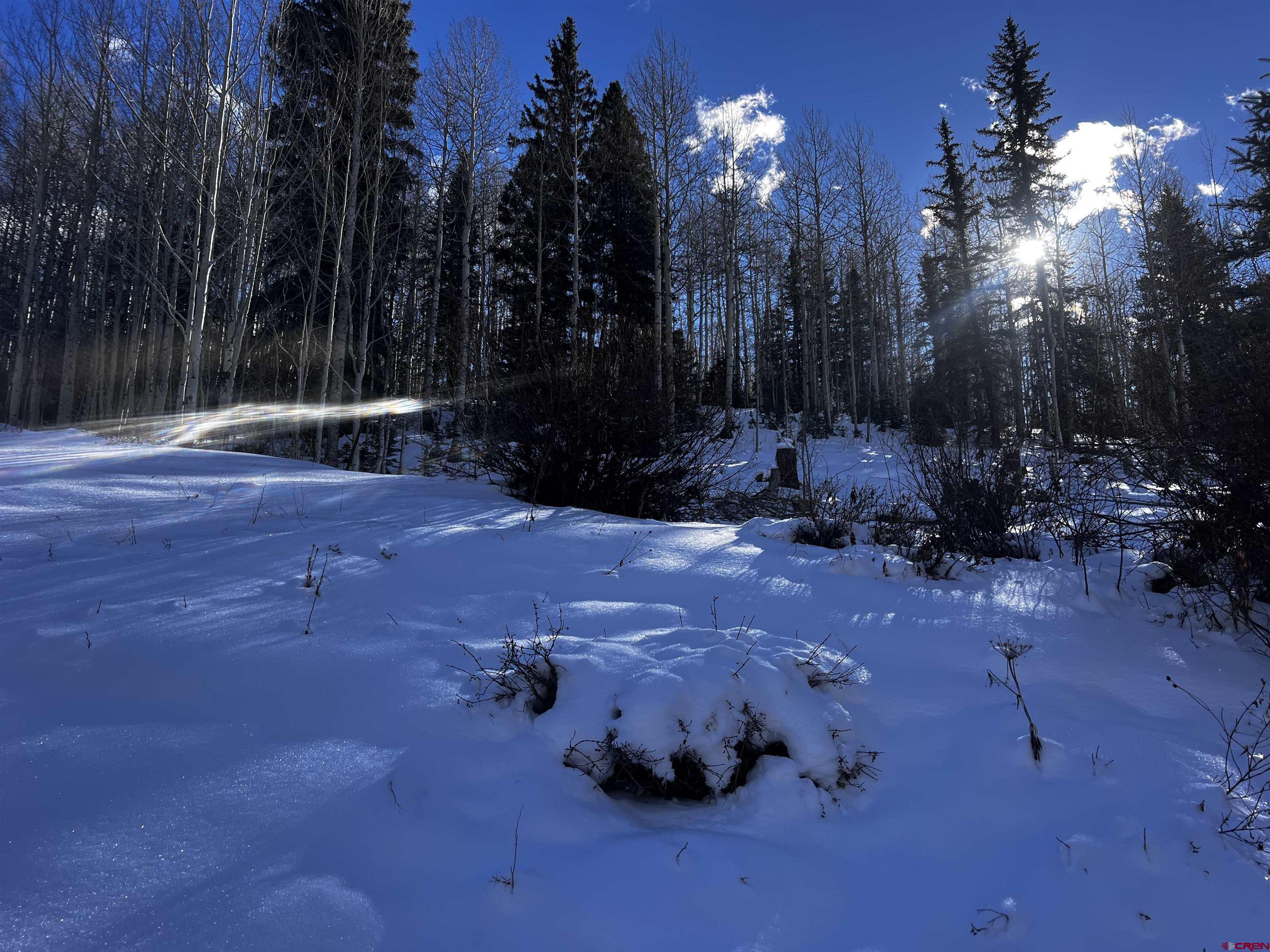 25 South Garfield Street Rico, CO 81332 - Photo 3 of 7 a view of a backyard of the house