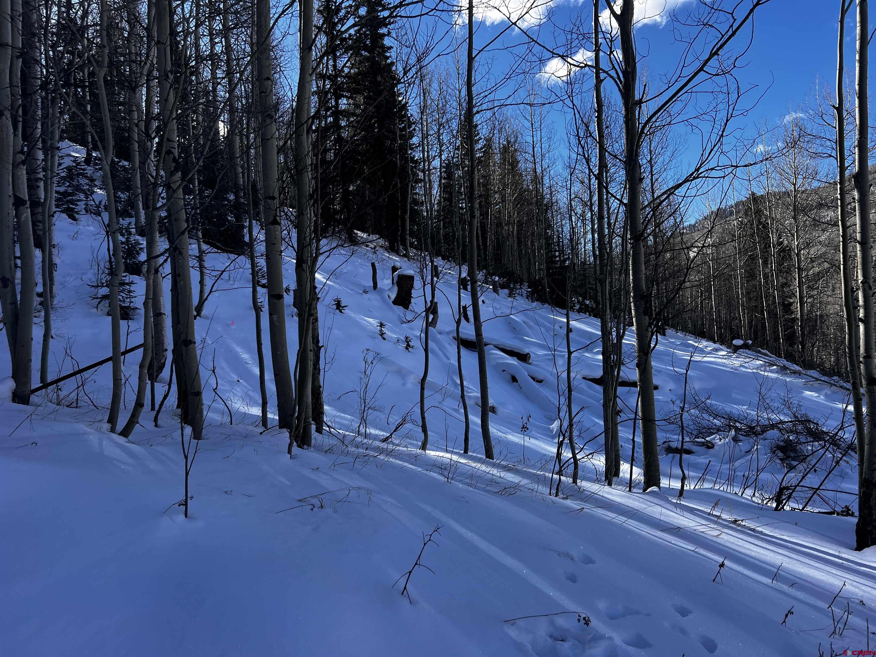 25 South Garfield Street Rico, CO 81332 - Photo 4 of 7 a view of a street