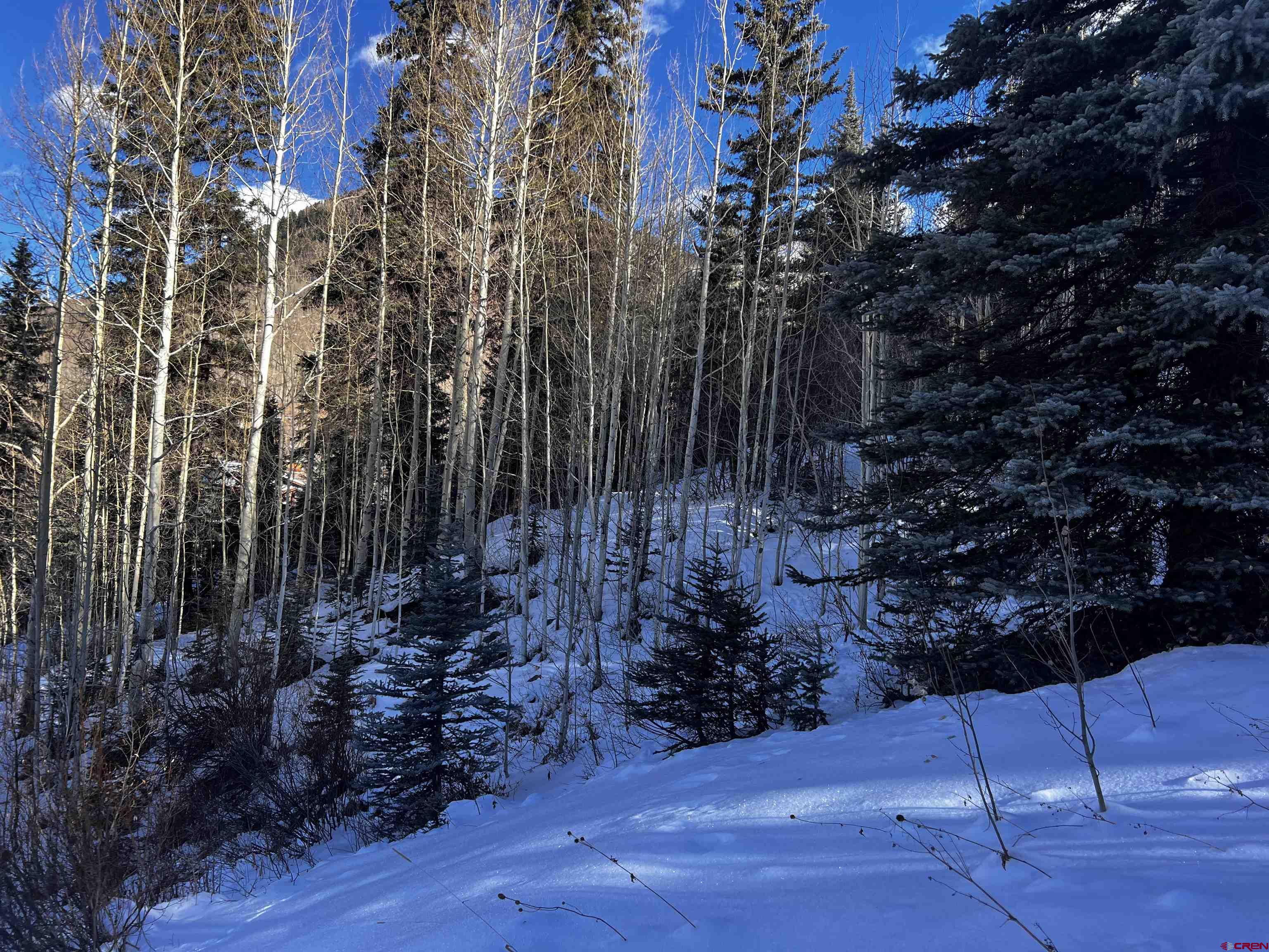 25 South Garfield Street Rico, CO 81332 - Photo 5 of 7 a view of a backyard of the house