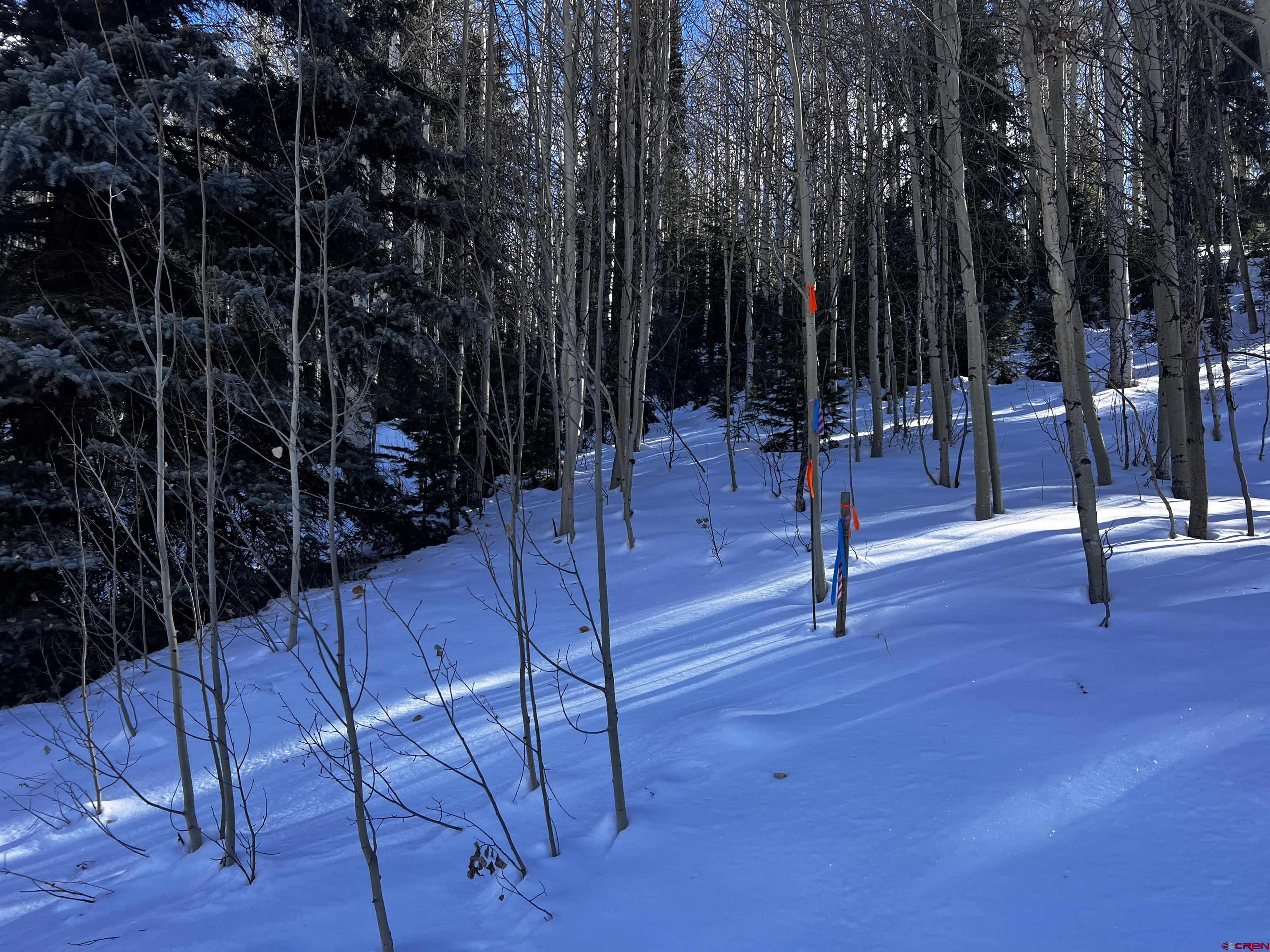 25 South Garfield Street Rico, CO 81332 - Photo 6 of 7 a view of outdoor space and porch