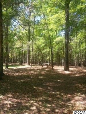 3454 Wilderness Lane Murrells Inlet, SC 29576 - Photo 22 of 25 Gallery Image 22