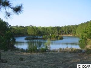 3454 Wilderness Lane Murrells Inlet, SC 29576 - Photo 24 of 25 Gallery Image 24