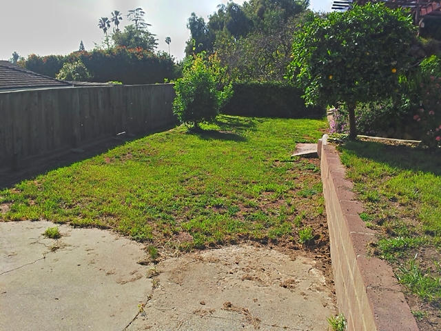 Backyard sized