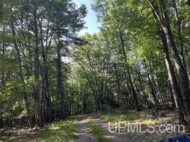 2048 Deer Lake Road Ishpeming, MI 49849 - Photo 39 of 40