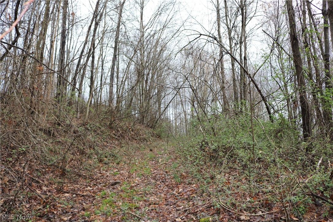 73830 Freeport Road Freeport, OH 43973 - Photo 23 of 23