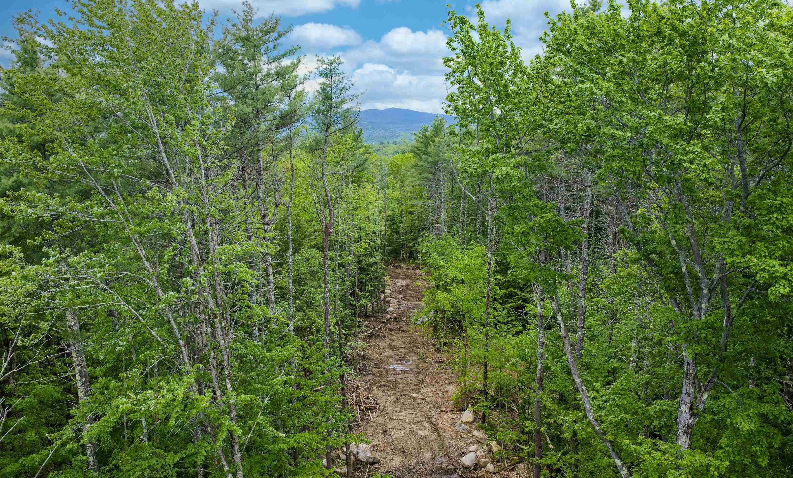Lot 1 Winona Road Meredith, NH 03253 - Photo 4 of 16
