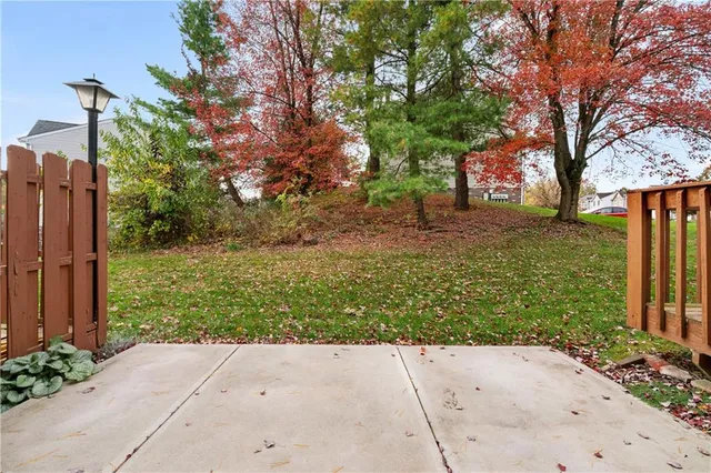 a view of backyard with green space
